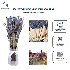 Bó Hoa Khô Lavender Thơm Dịu 100 Cành Hoa Oải Hương Vintage Trang Trí Décor Nhà Cửa Làm Quà Tặng Kỷ Niệm - HÀNG CHÍNH HÃNG MINIIN - 50 cành