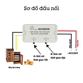 Hộp Công Tắc Hẹn Giờ Tắt Bật Luân Phiên Homematic TCS11