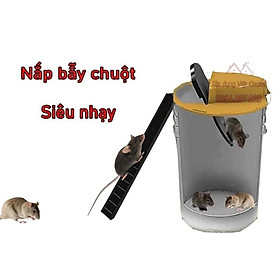 Mua nắp bẫy chuột thông minh
