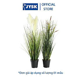 Mua Cây Trang Trí GODSKE Ø18xH75cm JYSK