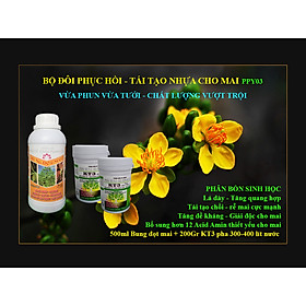Mua Bộ Phục hồi mai và tái tạo nhựa cây Mai nhỏ