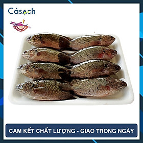 Cá rô bí đồng nguyên con - 200 g