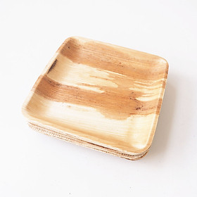 10 Đĩa Mo Cau Vuông 17x17cm - Là Xanh
