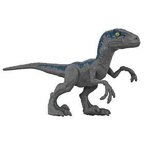 Đồ Chơi Mô Hình Khủng Long 6 inch Jurasic World Dominion Velociraptor Blue HMK81/GWT49