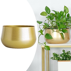 Brass Toned Metal Flower Pots Garden Planters, Indoor Round Succulent Containers,Cactus Plant Pots with Drainage Hole (Golden)