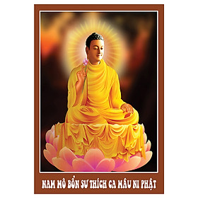 Mua Tranh Phật Giáo Thích Ca Mâu Ni Phật 2497