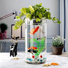 Hình ảnh Bình bông lọ hoa thủy tinh trụ - bể cá mini, chậu cây thủy sinh