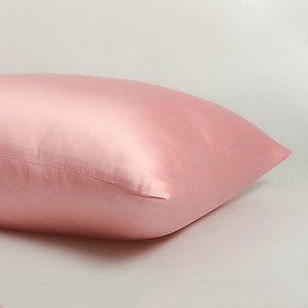 Mua  Nhiều màu  01 Vỏ Gối Nằm Gòn Bedding Lụa Tencel 60s Cao Cấp Màu Trơn 50x70 cm