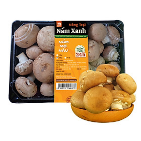 HCM Nấm Mỡ Nâu Tươi 600gr Ngon Sạch - Nông Trại Nấm Xanh