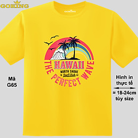 HAWAII, mã G65. Áo thun siêu đẹp cho cả gia đình. Form unisex cho nam nữ, trẻ em, bé trai gái. Quà tặng ý nghĩa cho bố mẹ, con cái, bạn bè, doanh nghiệp, hội nhóm