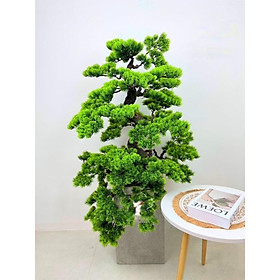 Mua Cây tùng giả bonsai - Cao 1m2 - Cây giả  hoa lụa Decor trang trí nhà cửa