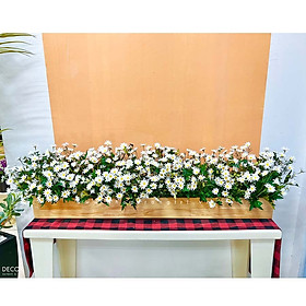 BỒN HOA CÚC HỌA MI BC085 TRANG TRÍ NHÀ GIÁ RẺ