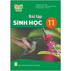 Sách – Bài tập Sinh Học 11 Kết nối và 2 tập giấy kiểm tra kẻ ngang vỏ xanh