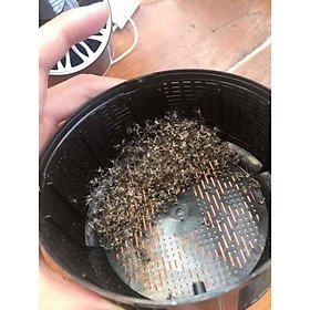 Mua ĐÈN BẮT MUỖI HÌNH TRỤ
