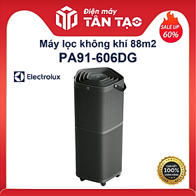 Mua Máy lọc không khí Electrolux PA91-606DG - Hàng Chính Hãng