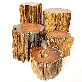 Mua Đôn gỗ kê tượng phật  đôn để chậu cây - Ghế đôn gỗ lũa  kệ gỗ để tượng decor  khoanh gỗ tự nhiên (phát mẫu ngẫu nhiên)