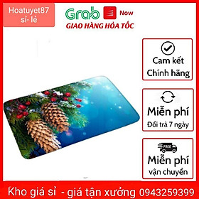 Mua Thảm lau chân 3d giao màu ngẫu nhiên