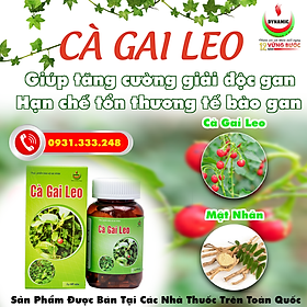 Cà gai leo - Năng Động - giải độc gan, giảm mề day, vàng da