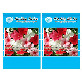 Bộ 2 Gói Hạt Giống Hoa Dừa Cạn Lùn Mix Màu (Vinca Mix) 50h