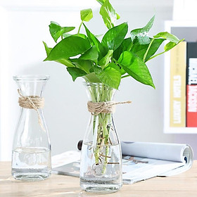 Hình ảnh Lọ hoa thủy tinh cổ eo vintage