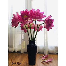 Mua Lọ hoa bình cao