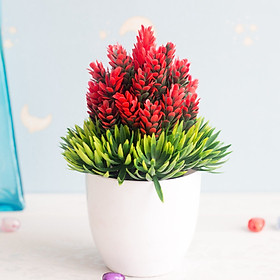 Mua Chậu hoa nhựa trang trí nhiều màu sắc