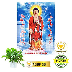 Mua Tranh Phật A Di Đà có khung_ADDK10