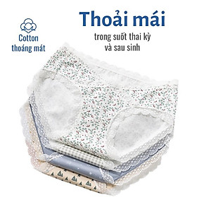 Quần lót bầu cạp chéo imom care, vải cotton cao cấp, kháng khuẩn, khử mùi