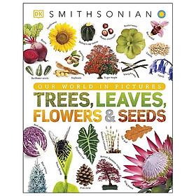 Trees, Leaves, Flowers And Seeds: A Visual Encyclopedia Of The Plant Kingdom