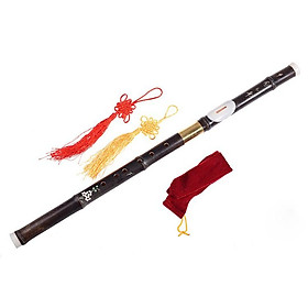 Mua Sáo mèo tàu khớp đồng