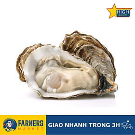 Hàu giống Pháp tươi sống size 12 - 15 con/kg (1KG)