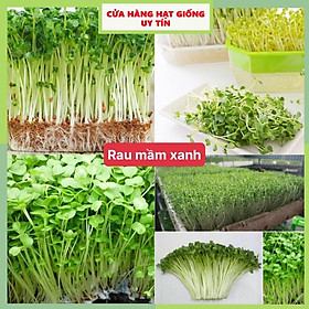 Mua Hạt giống rau mầm xanh dễ trồng kháng bệnh tốt năng suất cao gói 300 hạt nhà cửa và đời sống cửa hàng hạt giống uy tín