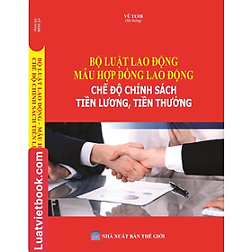 Bộ Luật Lao Động – Mẫu Hợp Đồng Lao Động – Chế Độ Chính Sách Tiền Lương, Tiền Thưởng