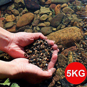 5KG Sạn suối dẹt, sỏi suối thủy sinh tự nhiên, trải nền, trang trí bể cá, tiểu cảnh, hòn non bộ, lọc nước hồ cá