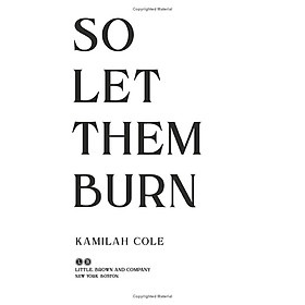 Sách ngoại văn: So Let Them Burn - Hachette Book Group