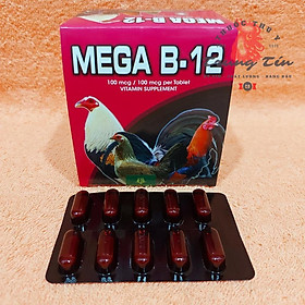 Mega B12 - nuôi gà cao cấp của philippine , tăng bo , mau lên nước máu , sung gà