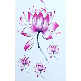 Hình Xăm Dán Tattoo Hình Hoa Sen