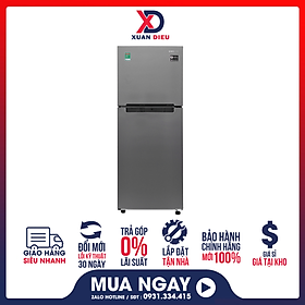 Tủ lạnh Samsung Inverter 208 lít RT19M300BGS/SV - Chỉ giao HCM