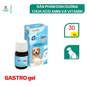 Sản phẩm dinh dưỡng bổ sung vitamin, acid amin cho chó, mèo Vemedim Gastro gel - Lọ 30ml
