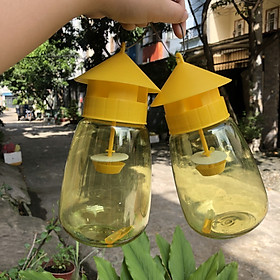 Mua Lồng bẫy ruồi dạng treo - MUA LẦN DÙNG MÃI MÃI
