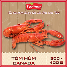 HCM - Tôm hùm Canada (300 - 400 g) - [Giao nhanh TPHCM]