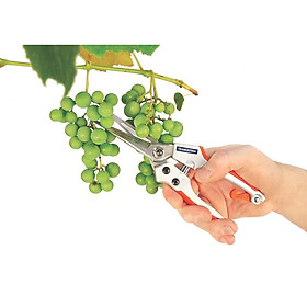 Kìm cắt tỉa chuyên nghiệp cho cây ăn trái Tramontina
