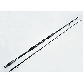 CẦN CÂU CÁ FIRE DRAGON BIG BANG CATFISH