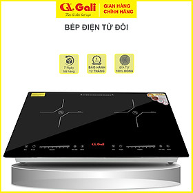 Mua Bếp điện từ  điện quang  hồng ngoại đặt âm Gali GL-2025  2in1  3600w hàng chính hãng nhập khẩu Gali bảo hành 24 tháng