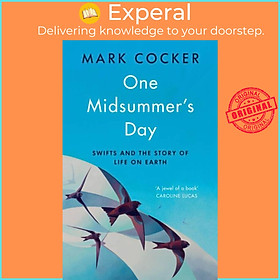 Sách - One Midsummer's Day - Swifts and the Story of Life on Earth by Mark Cocker (UK edition, hardcover)