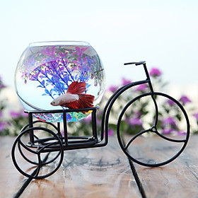 Bể cá mini Xe Đạp Xì Teen 29