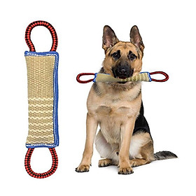 dụng cụ huấn luyện chó ,túc vải gai huấn luyện chó nghiệp vụ