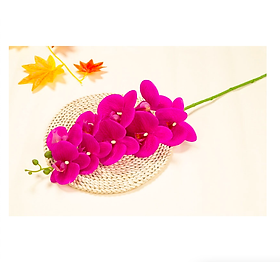 Cành lan hồ điệp giả cao cấp - 1 cành - 9 bông - dài 100cm - Cây giả, hoa lụa Decor trang trí nhà cửa