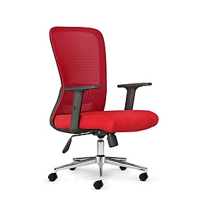 Ghế văn phòng lưng lưới CE08002A-2M