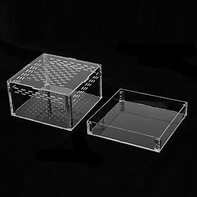 Breeding Box Worm Dish Reptile Feeding Box Food Container Transparent